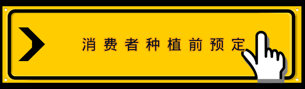 d4d15246c11969668c240be1854b61ee.gif
