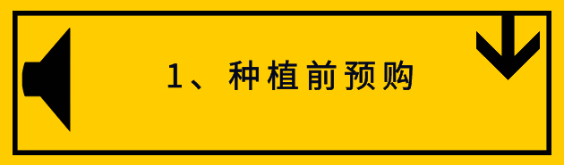 10.gif