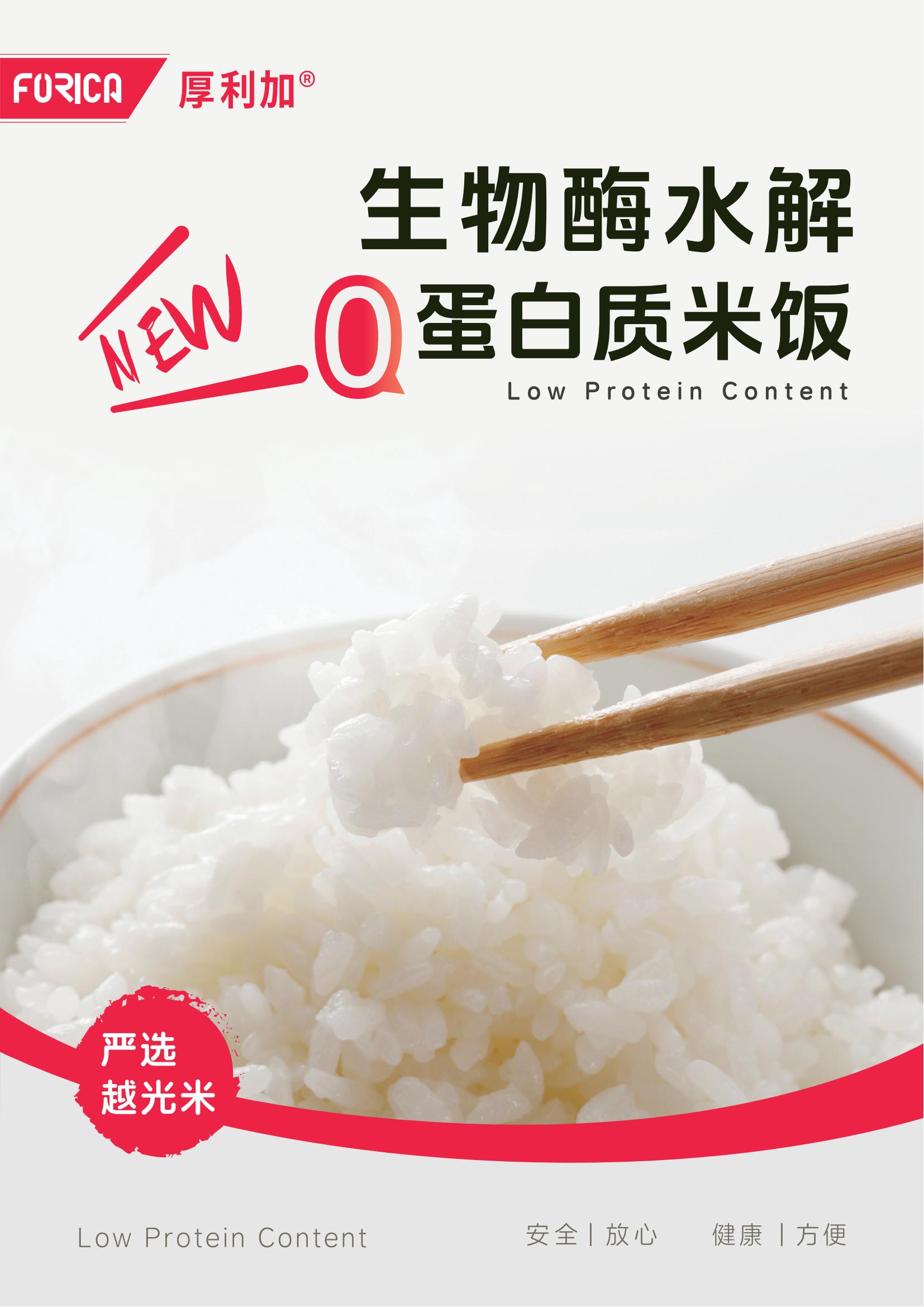 低蛋白米饭-a4彩页-转曲印刷1114_00.jpg